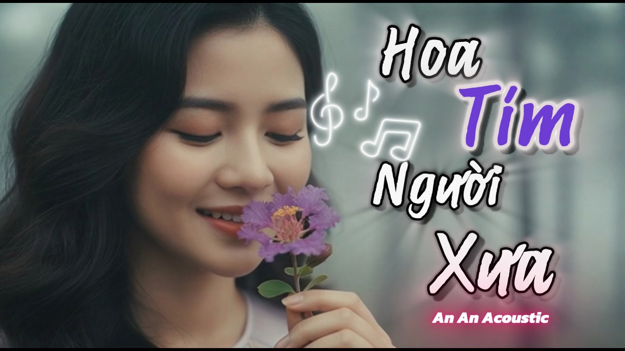 Bản Cover Êm Tai, Tình Ca Say Đắm | Hoa Tím Người Xưa St Thanh Sơn | An An Acoustic