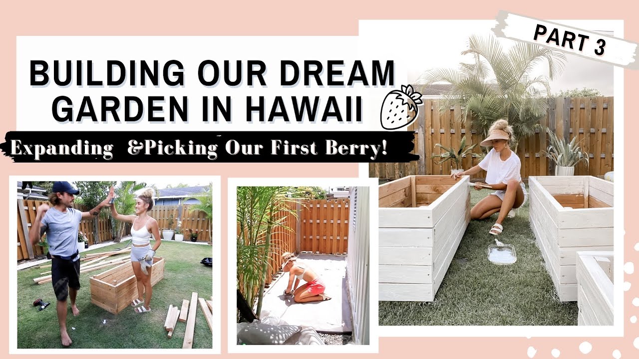 Building Our Dream Garden In Hawaii pt. 3 | Expanding Our Garden & Picking Our First Berry!