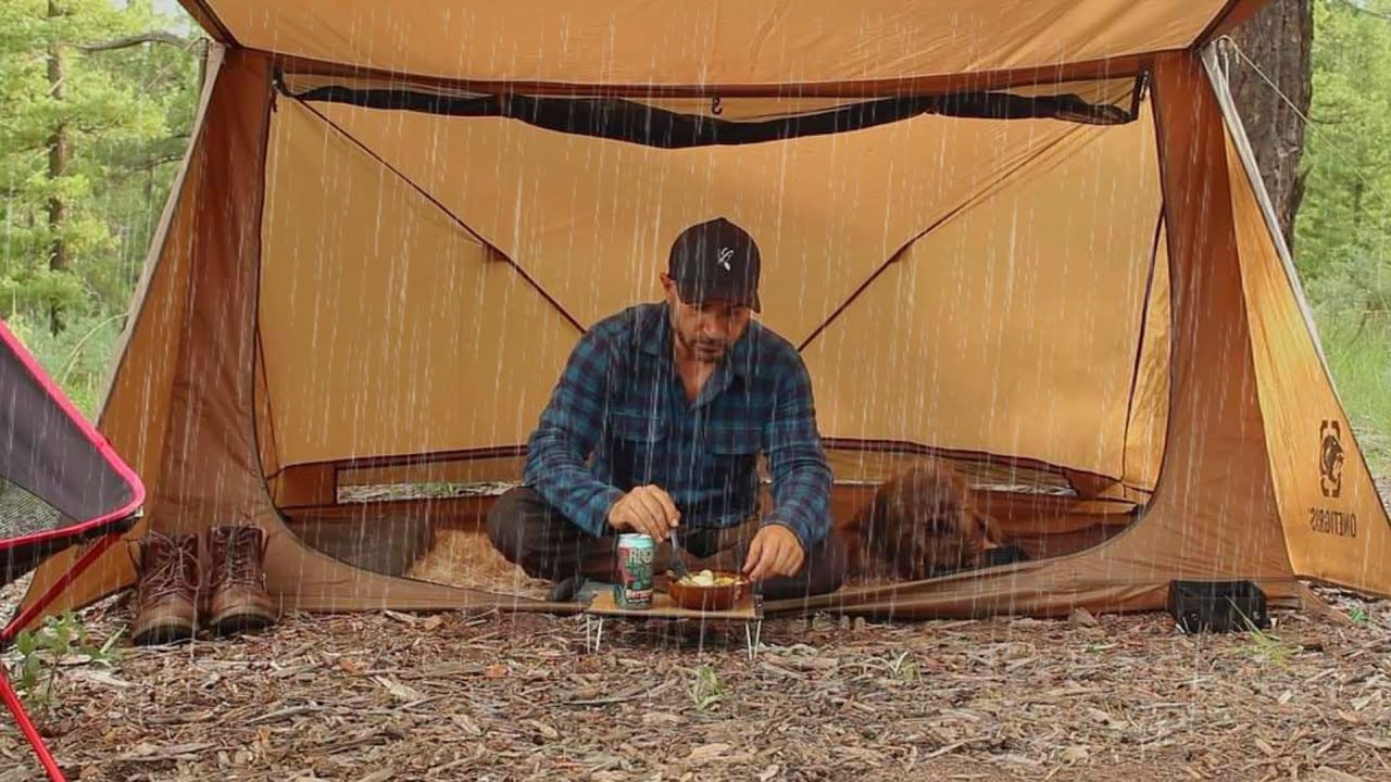 Solo Camping in Rain, Tent Shelter, with my Dog, ASMR