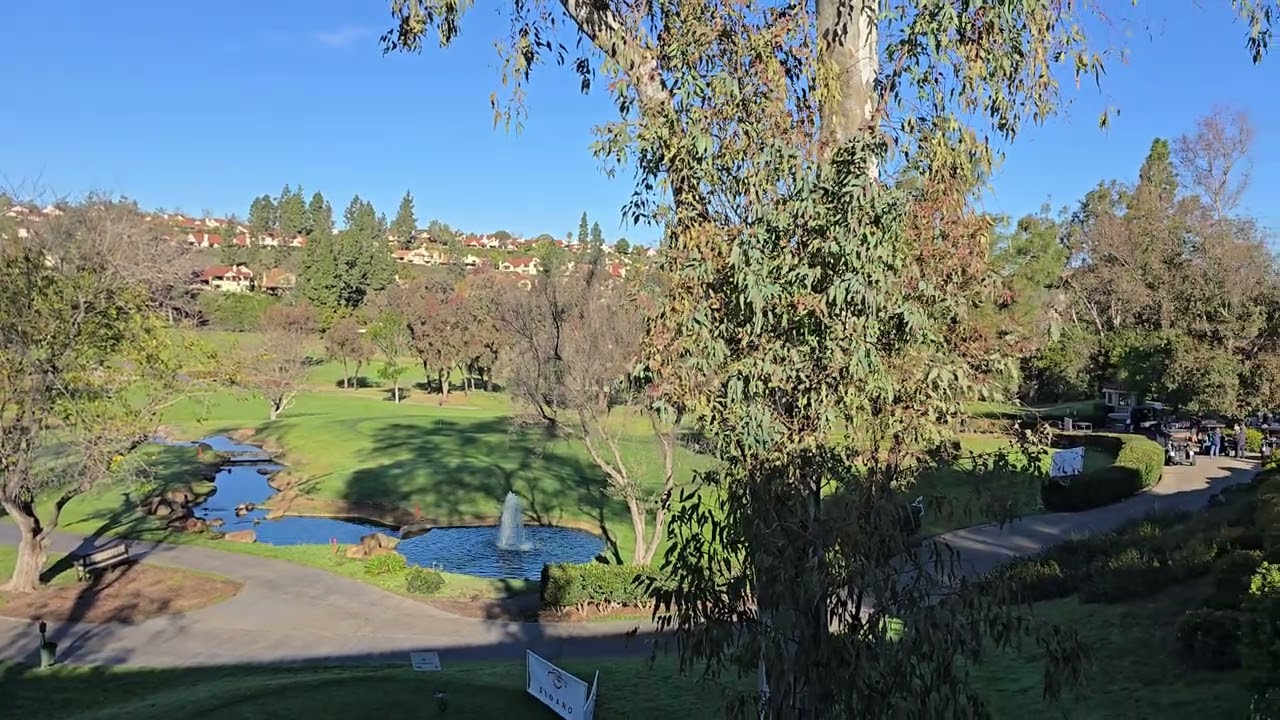My view the last two mornings 