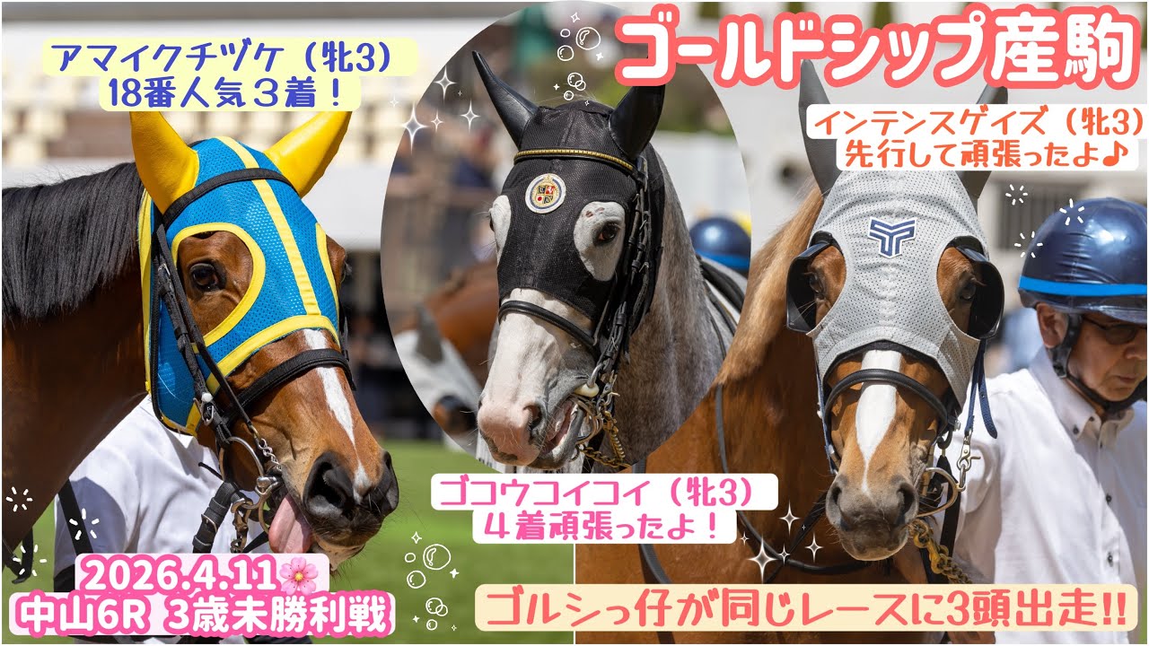 【ゴールドシップ産駒】ゴルシの娘3頭が同じレースに出走‼️みんな頑張りました☺️