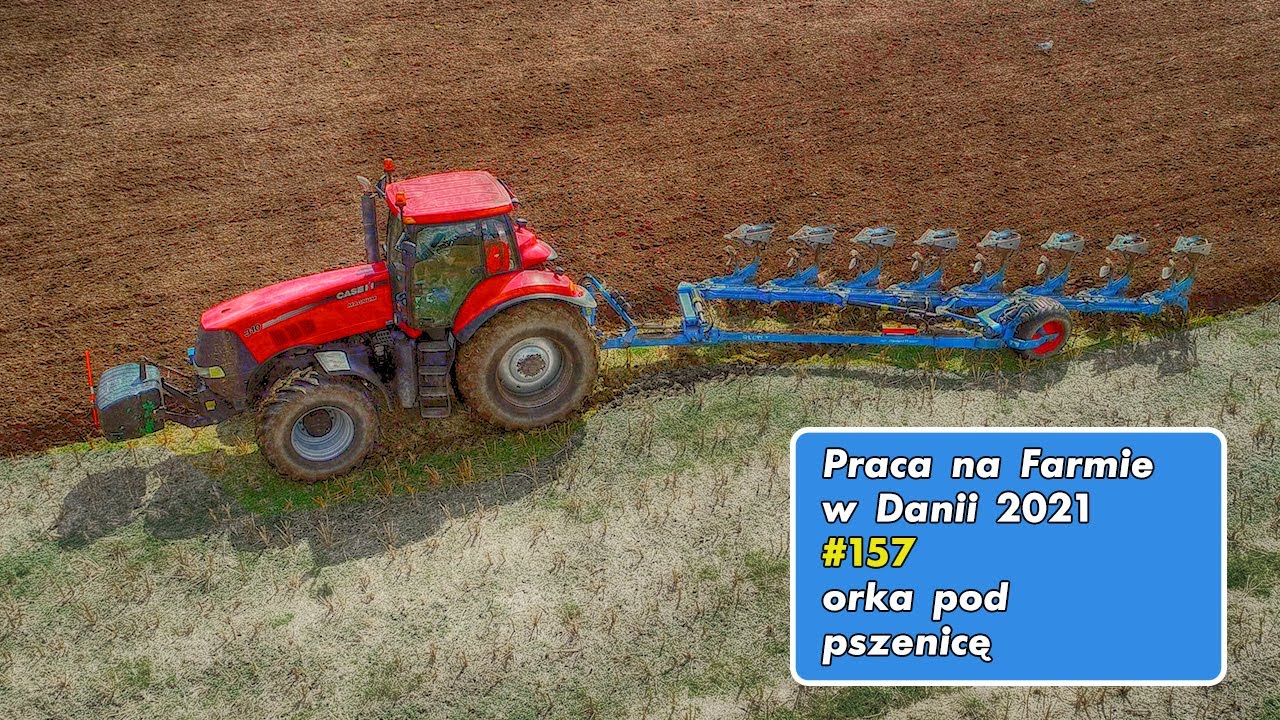 Работа на ферме в Дании №157, вспашка под пшеницу