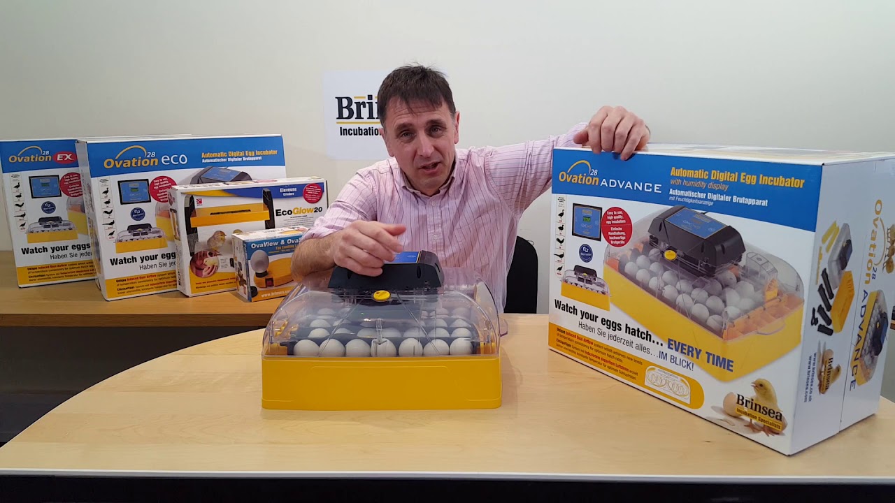 Brinsea Ovation 28 Advance Egg Incubator