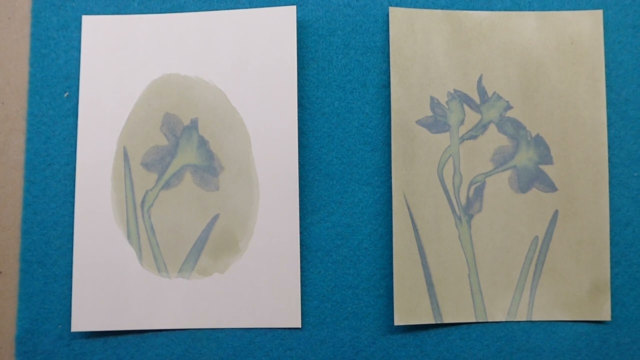 Wei&szlig;e Narzisse (Narcissus poeticus)