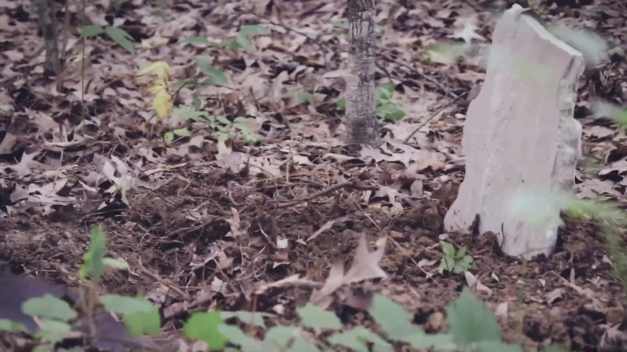 HERE LIES FEAR! SHORT FILM
