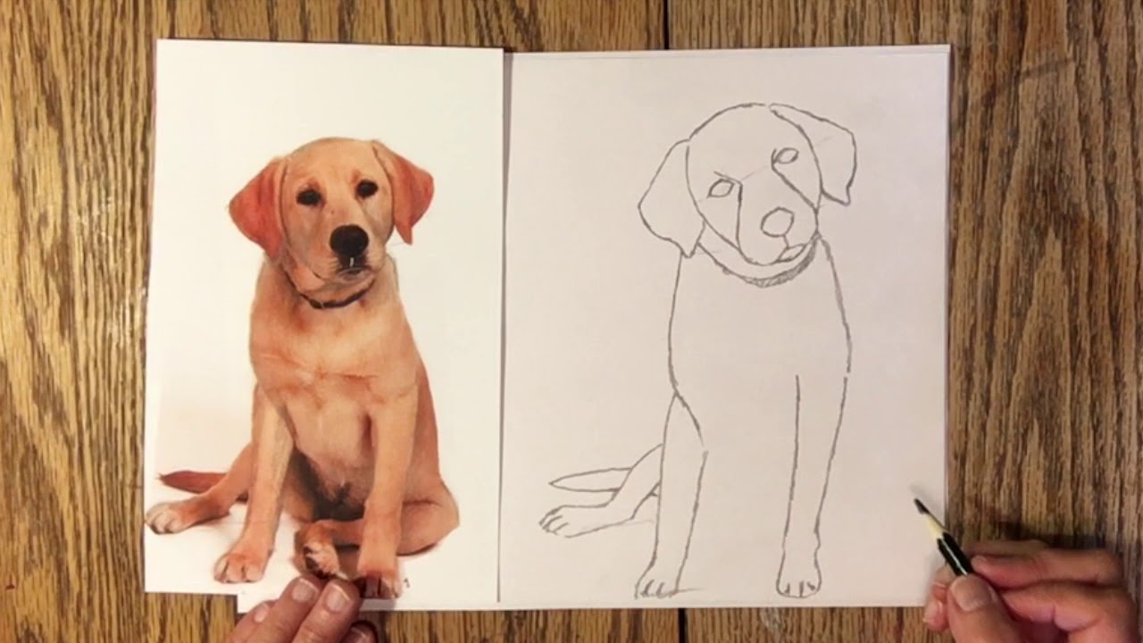 Elements of Shape, Using Photo as Subject