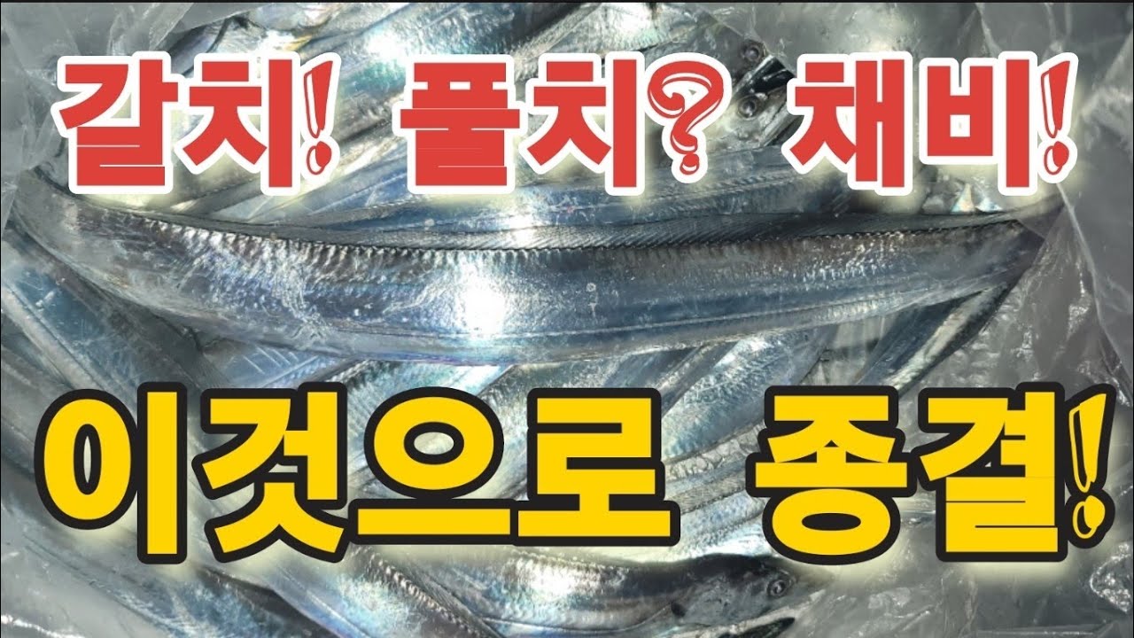 갈치! 풀치? 채비! 와이어 쓰지마라 쫌! 쫌!  만쿨 채비법공개!
