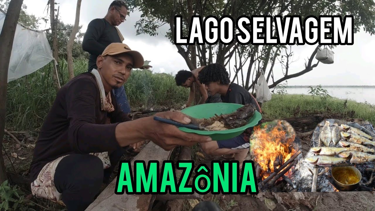 Pescaria de malhadeira com inscrito do canal em um lago selvagem na Amazônia e fizemos um assado top