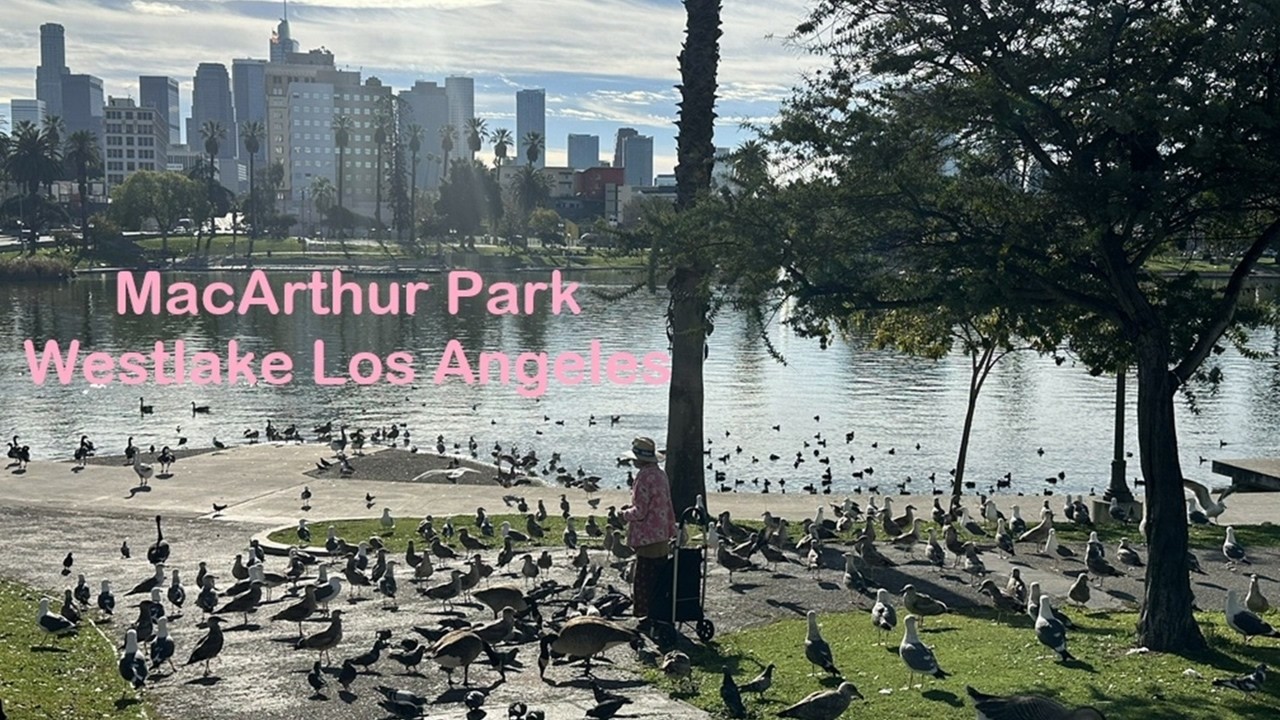 MacArthur Park, Weslake Los Angeles