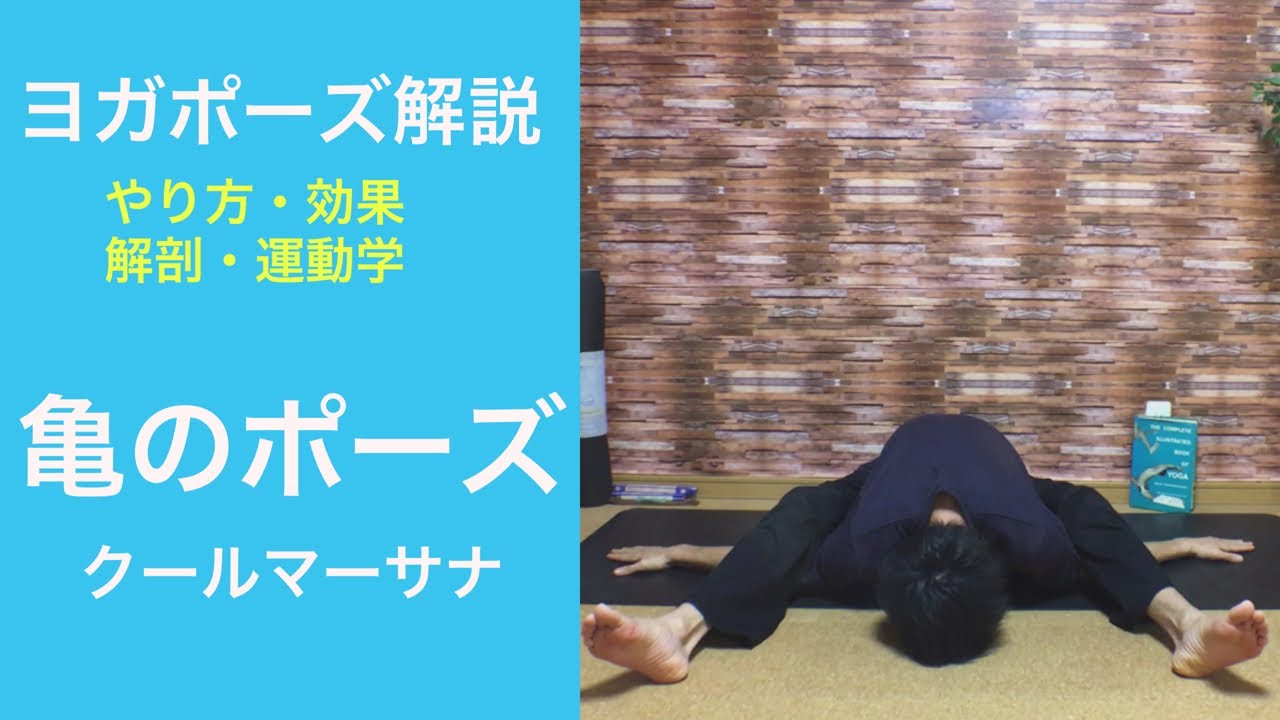 ヨガポーズ解説　亀のポーズ　クールマーサナ