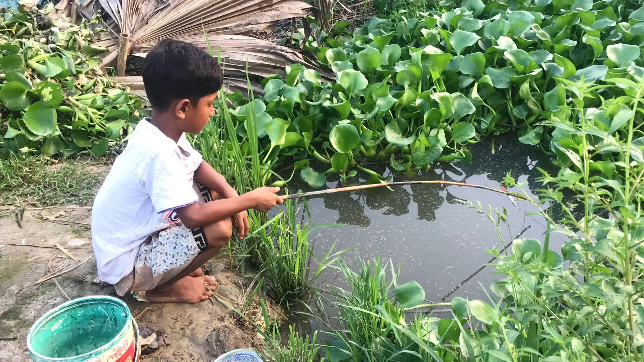 Village small boy hunting catfish by fish hook ~ traditional hook fishing  catching catfish by hook,