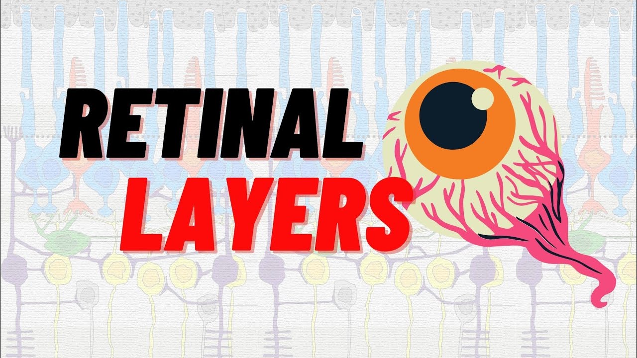 Retinal Layers made easy ! | Mnemonic