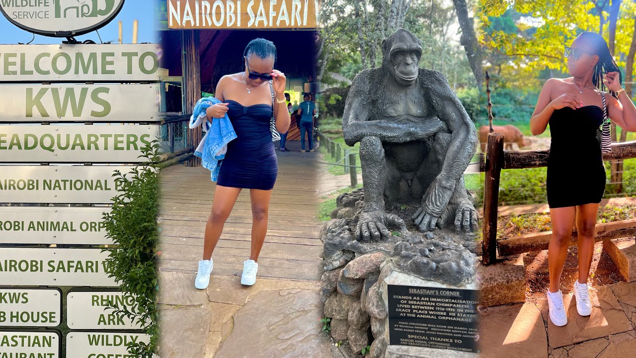 NAIROBI SAFARI WALK 2025 /things to do in Nairobi Kenya 🇰🇪.
