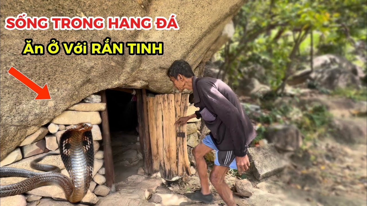 Ông Lão Sống 20 Năm Trong Hang Đá Ngủ Chung với RẮN
