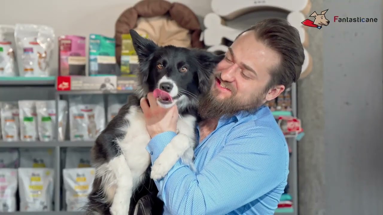 CANE AGGRESSIVO? ALLORA FAI QUESTE 6 COSE