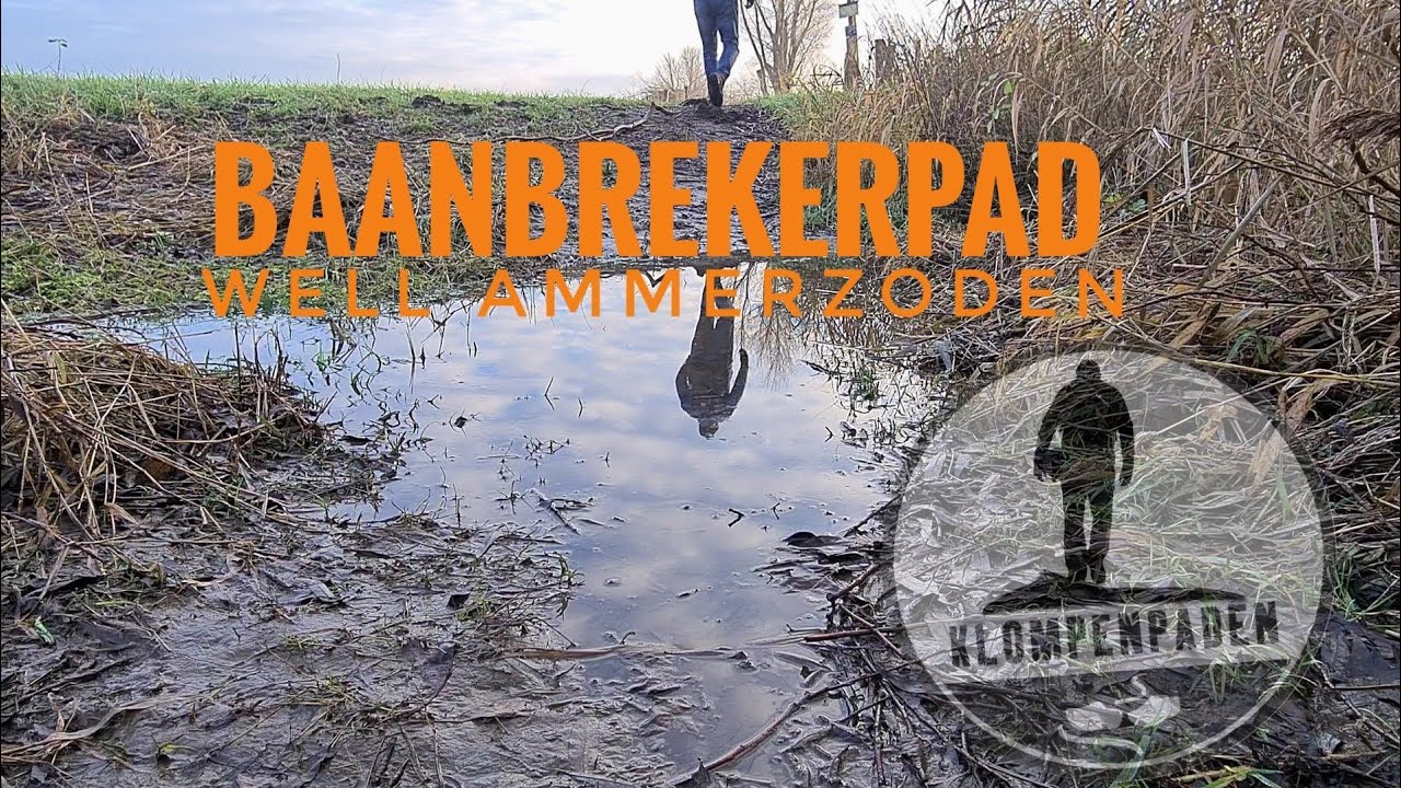 Baanbrekerpad