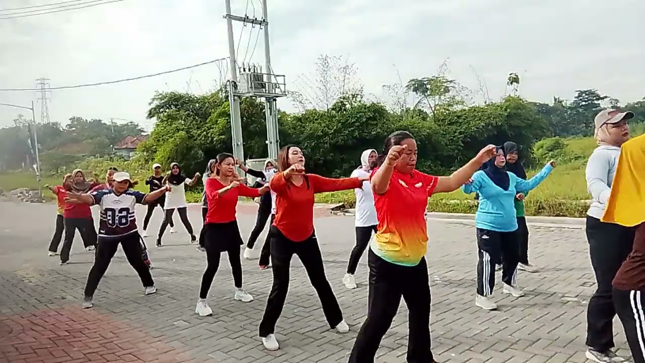 Aerobic pemula