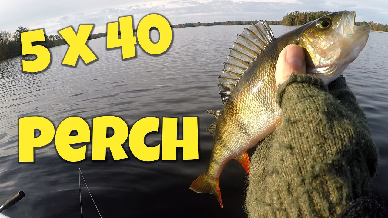 5x40 ep10 - Sökandet efter 5 abborrar över 40 cm.
