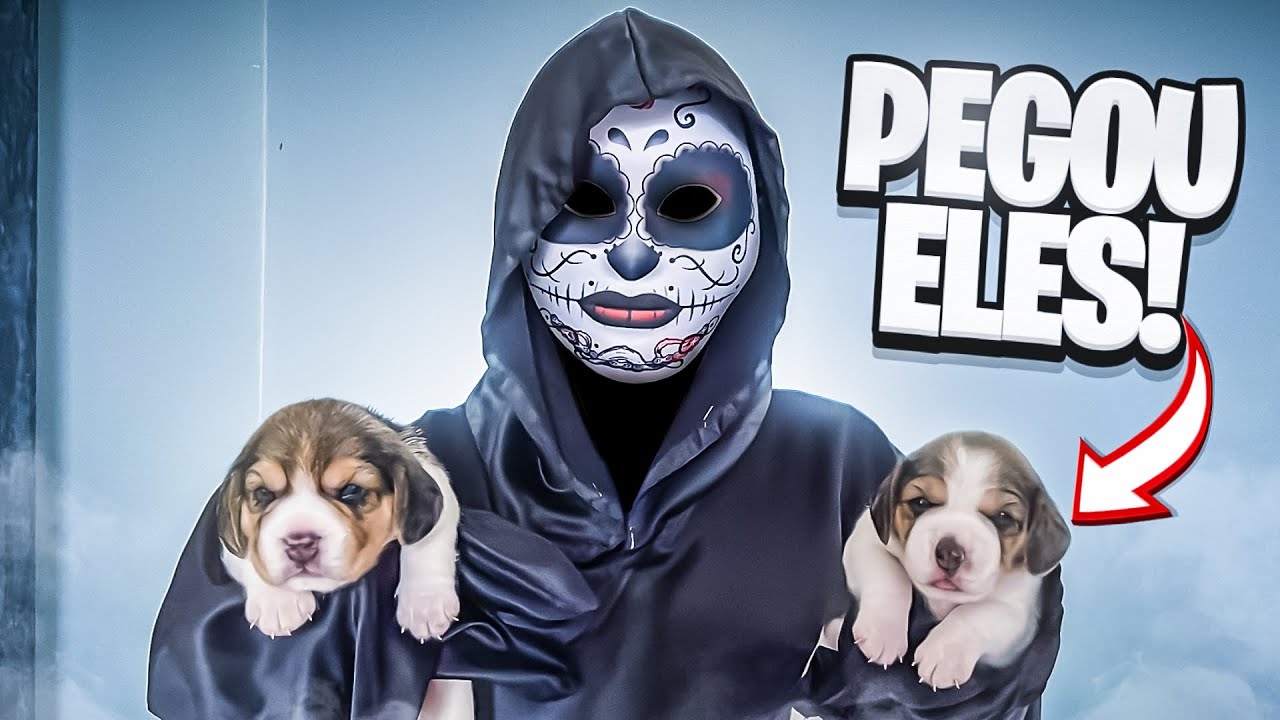 A MENINA ESTRANHA PEGOU NOSSOS CACHORRINHOS!!