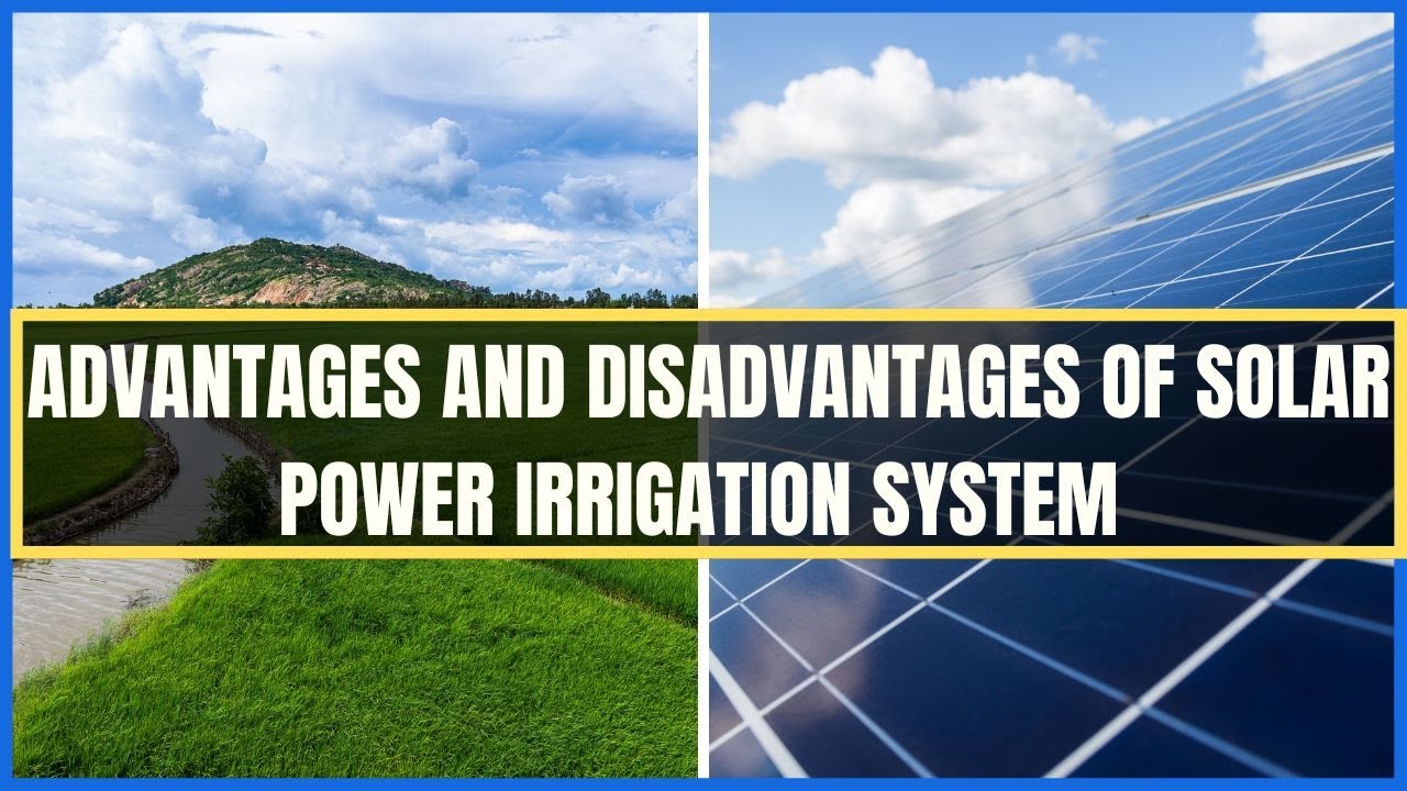 Solar Power Irrigation: What are the advantages and disadvantages of solar power irrigation?🌞🌻