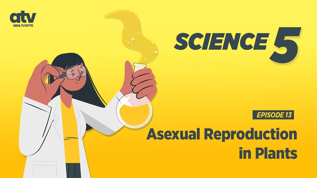 Science Grade 5 Q2 Ep 13: Asexual Reproduction in Plants