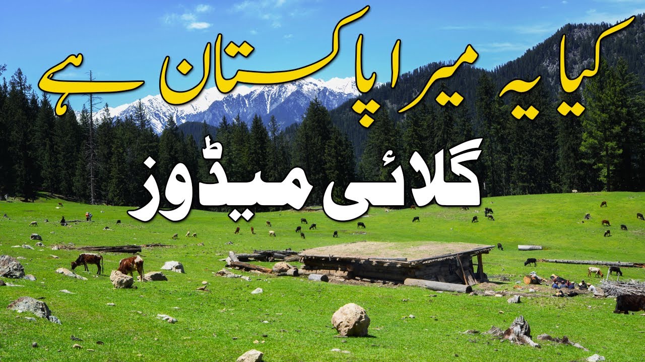 Gallai Meadows Ka Mushkal Tarin Rasta | Part #2 | Sasta Musafir