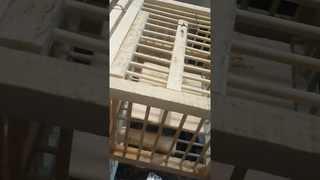 السلام عليكم شباب تحياتي الجميع  إقفاص وخانات لصيد بلابل شغل أيدي.  رقم الهاتف  (07723130392)