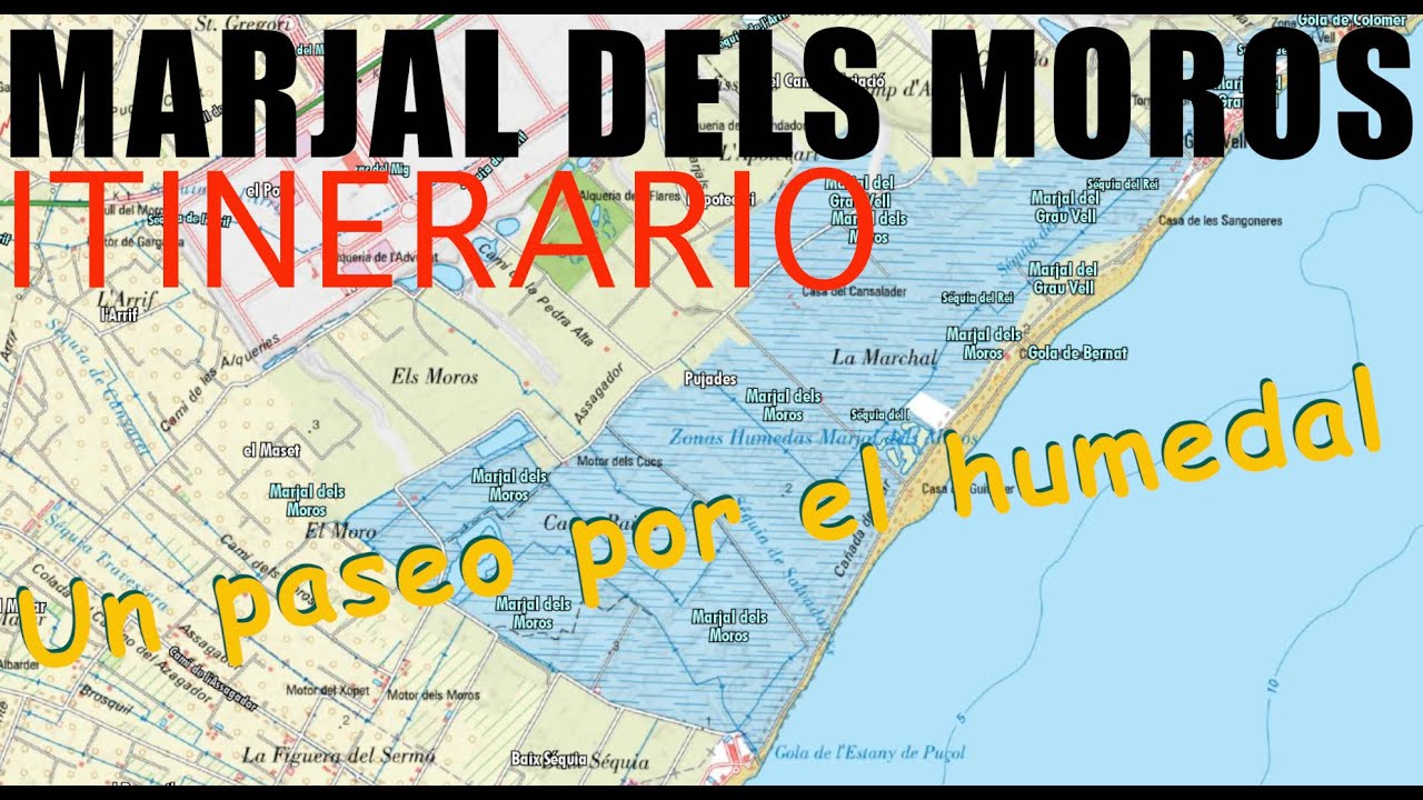 Marjal dels Moros 2025: Ruta COMPLETA por el Humedal de Sagunto + Observación de AVES