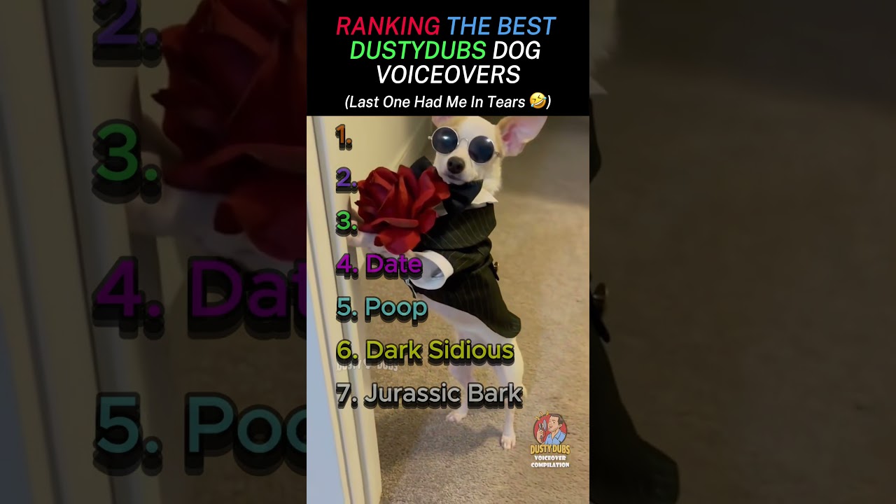 These DustyDubs Dog Voiceovers Will Make Your Day! (Try Not To Laugh 😂)