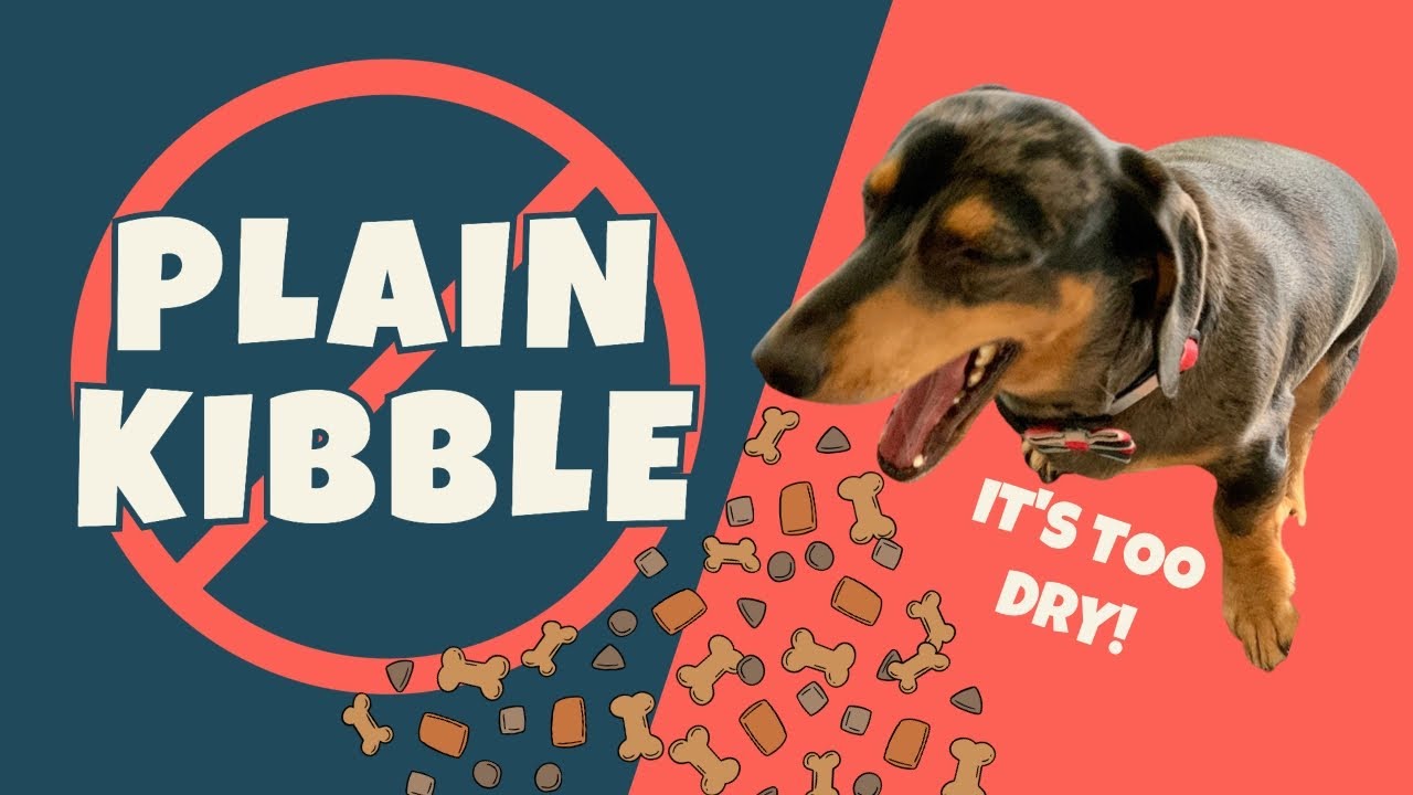 Homemade kibble topper 🍲 - Dachshunds love this! ❤️