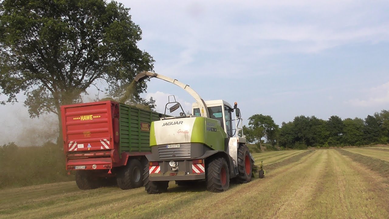 Claas Jaguar 870 Speedstar Feldhäcksler am Gras häckseln 2014 mit Fendt Vario (Sound!!!)