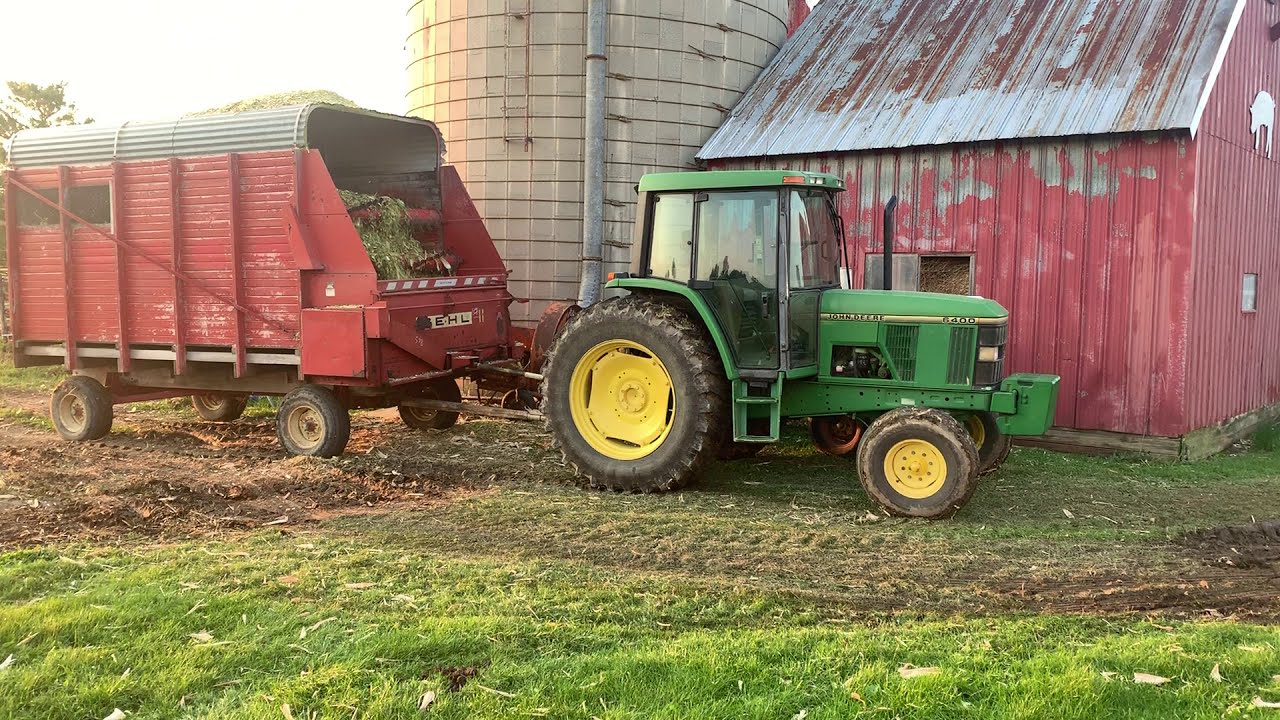 unloading Corn silage into silo 2019