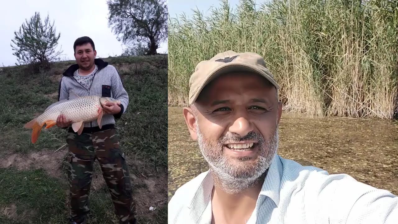 ŞƏRBƏT BOZQOBUDA SAZAN OVU / SINIQ KÖRPÜDƏ SAZAN OVU