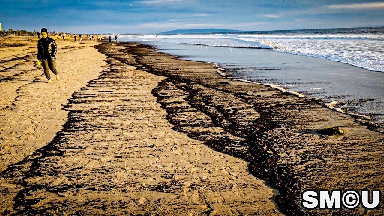 𝗔𝗦𝗛𝗘𝗦 𝗢𝗙 𝗗𝗘𝗩𝗔𝗦𝗧𝗔𝗧𝗜𝗢𝗡: Palisades Fire Debris Lines Santa Monica Beach, Sparks Health Warnings