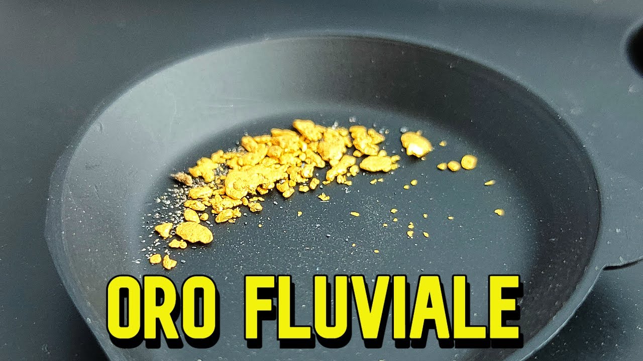 Il piatto del cercatore d'oro: lo strumento con cui si cercano le pagliuzze dai sedimenti auriferi
