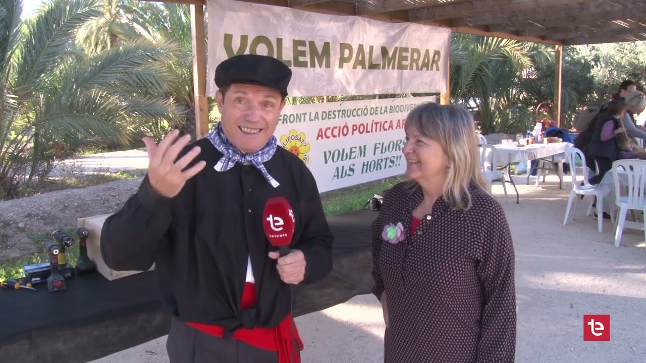 EL CAMP D´ELX 687 | Festa del Palmerar 2022 - 11/01/2023