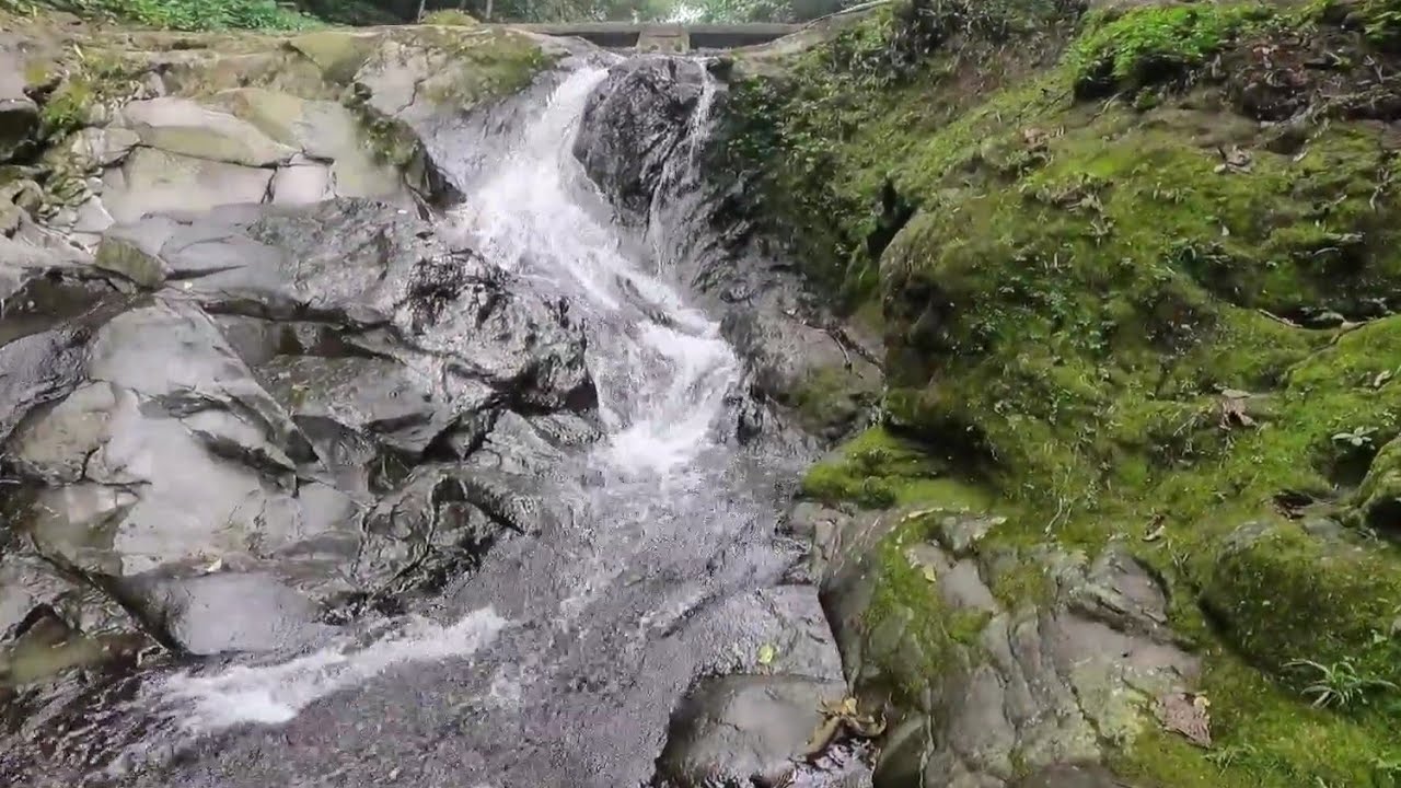 CURUG DAUN