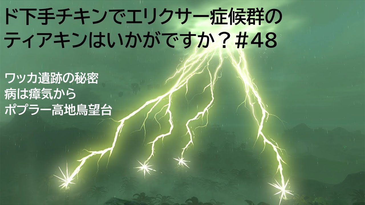 ド下手チキンでエリクサー症候群のティアキンはいかがですか？#48