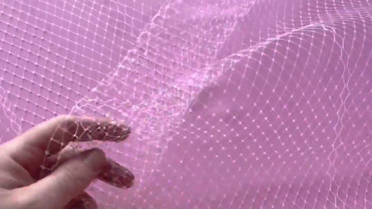 Ivory Net - Birdcage