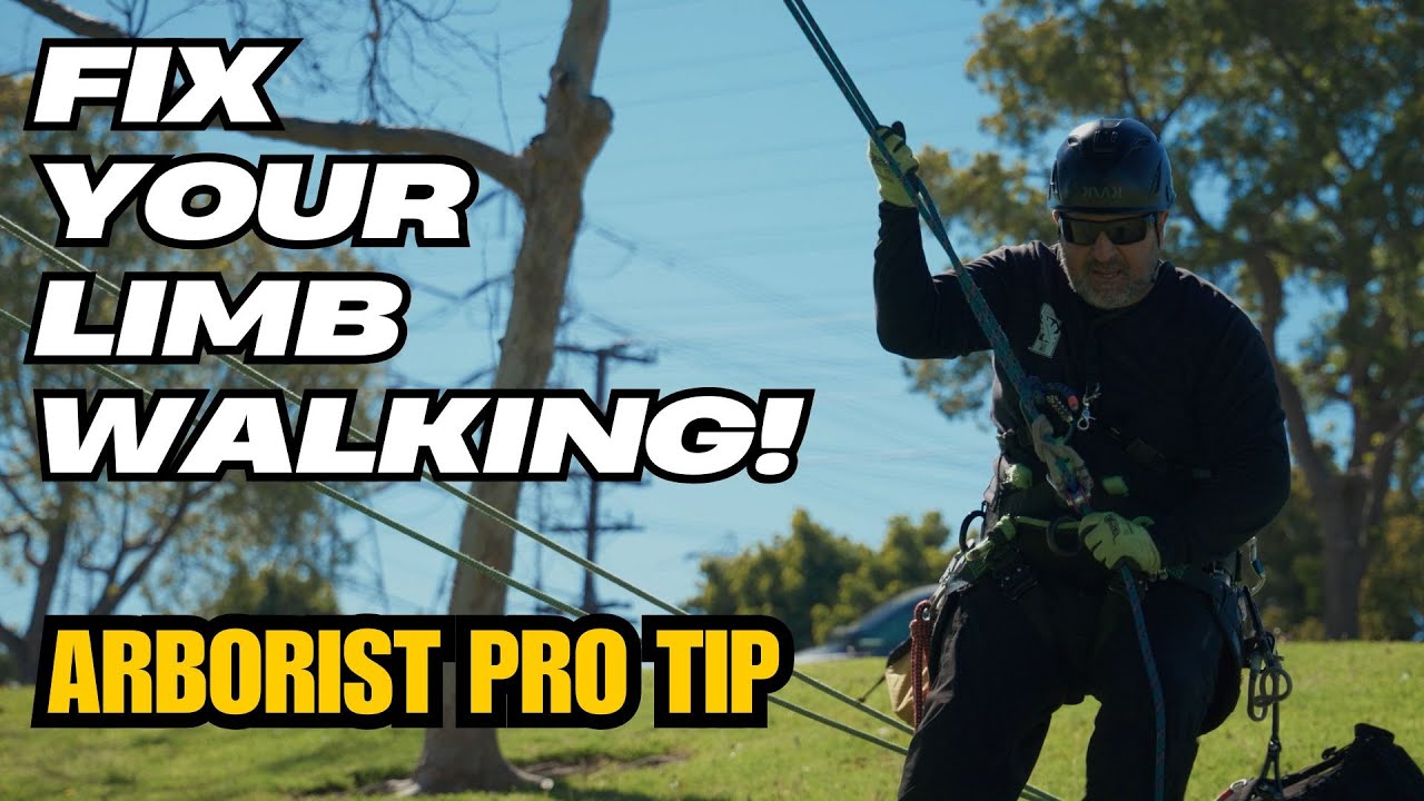 Arborist Limb Walking Pro Tip For Better Climbing