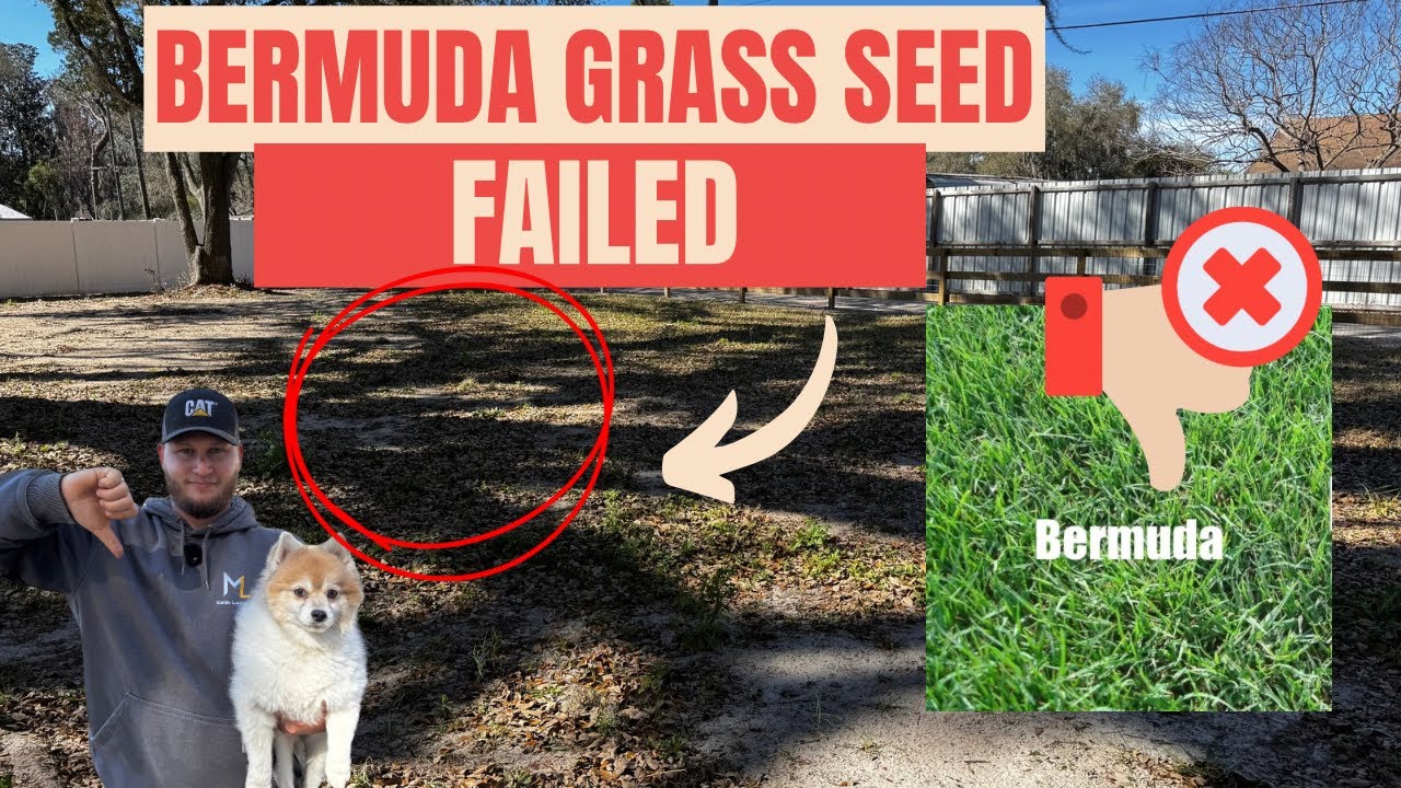 Why Bermuda Grass FAILED in FL (Zone 9B)- Learn From Our Mistake