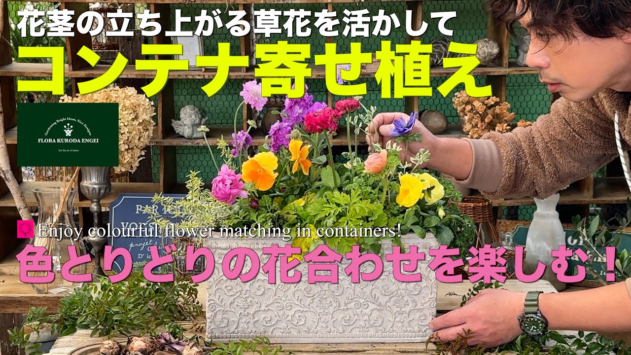 色とりどりの花合わせを楽しむ！／ コンテナの寄せ植え【冬のガーデニング】-フローラ黒田園芸- ガーデニング　園芸　寄せ植え