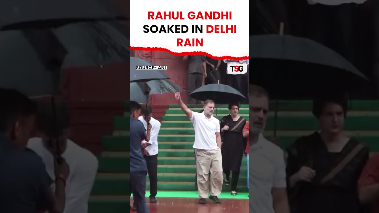 Rahul Gandhi Soaked in Delhi Rain | TSG