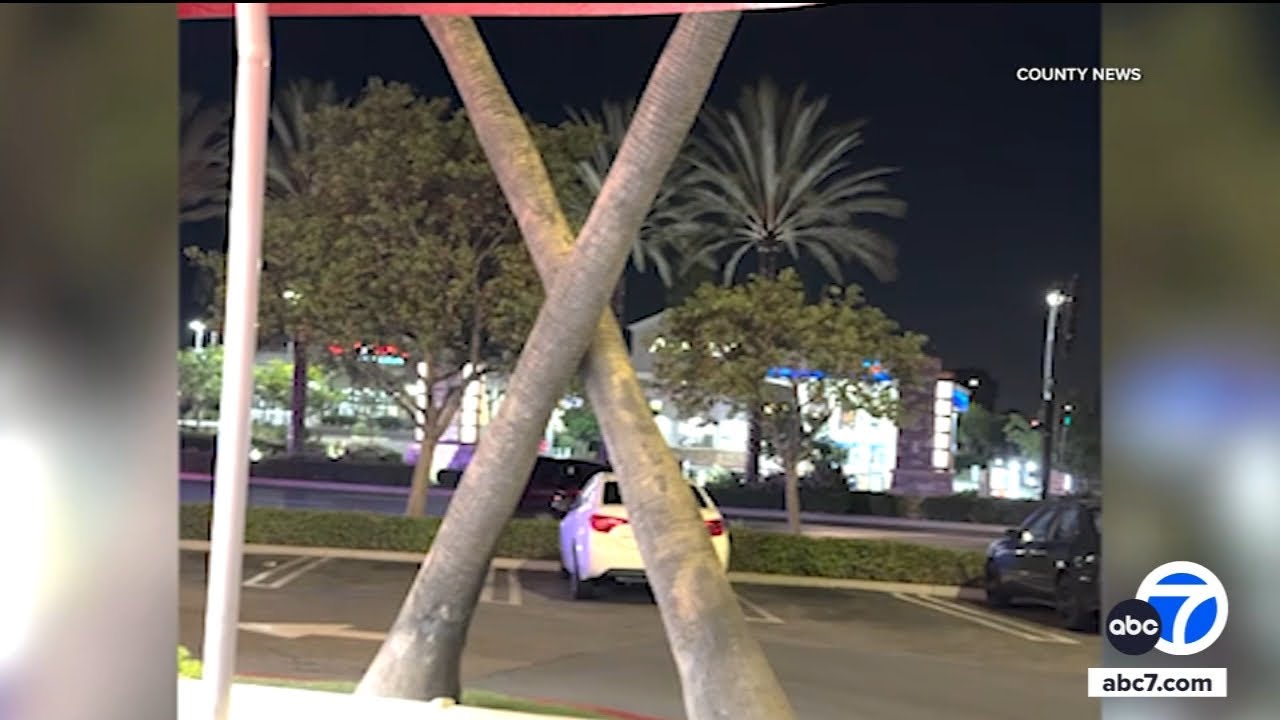 Police chase ends in shootout near Laguna Hills In-N-Out; homicide suspect dead