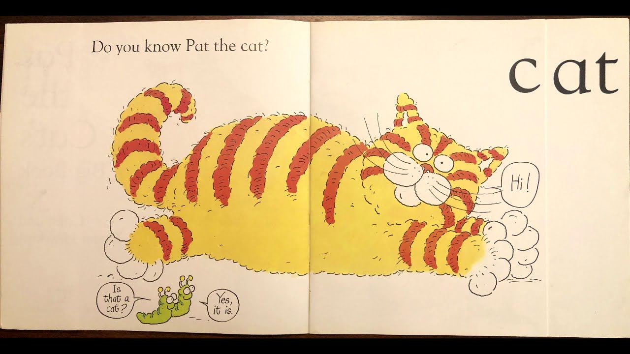 Pat the Cat