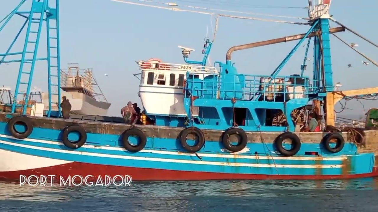 لحظة دخول مراكب الصيد الساحلي إلى ميناء الصويرة