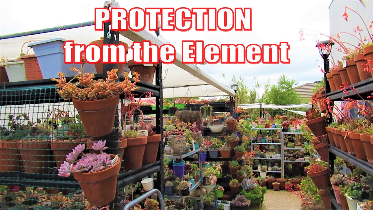 Shade Cloth Area for Acclimating Succulents