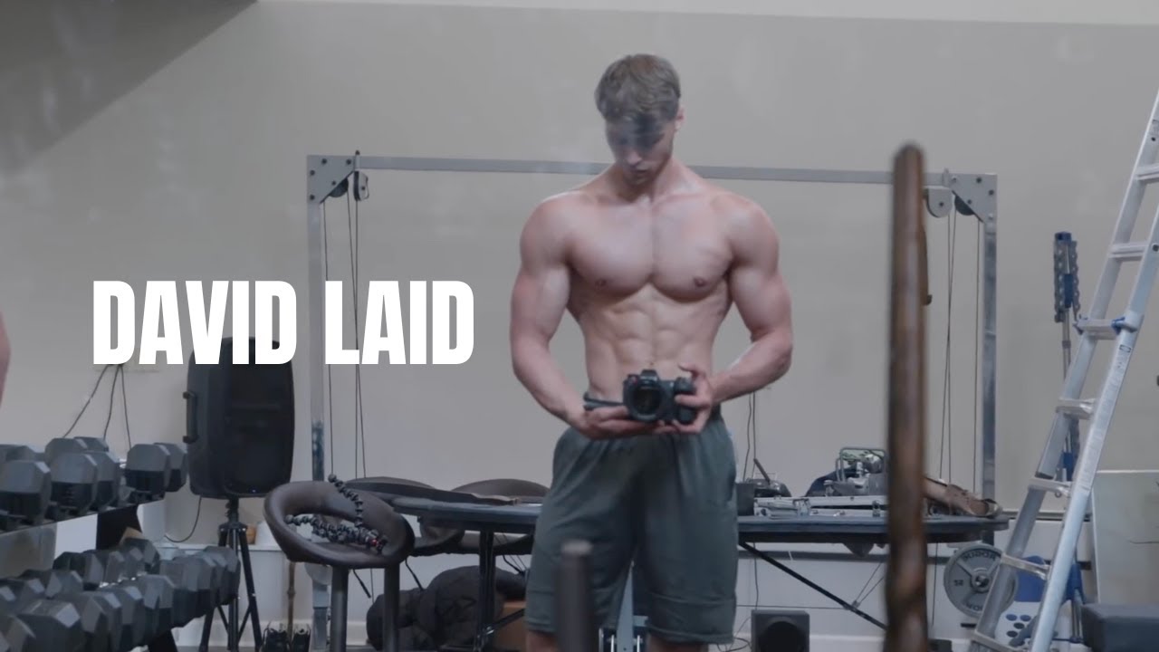 DAVID LAID AESTHETIC GYM MOTIVATION - BABYDOLL