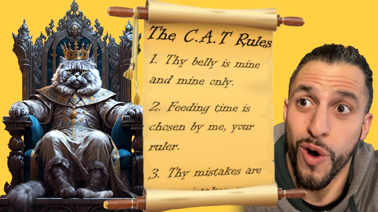 BITES OUT OF NOWHERE? YOU'RE NOT FOLLWING THE C.A.T. RULES