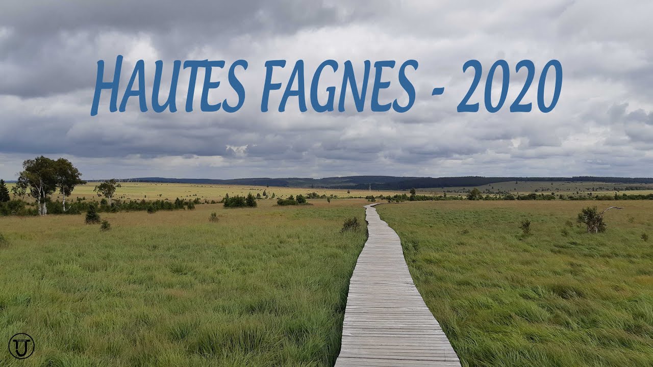 Randonnée dans les Hautes Fagnes - 2020
